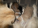 DSCN5348