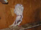Picture 071
