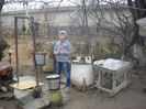 Picture 2233