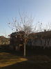 20131225_135210