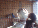 Picture 134