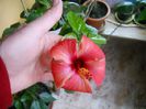 DSCN7089