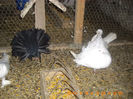 IMG_4612 m 2012,f 2010