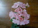 DSC00067