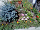 DSC00124