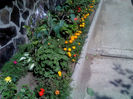 DSC00125
