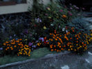DSC00135