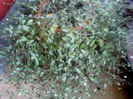 DSC00160