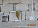 DSC00056