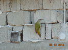 DSC00055