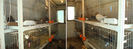 pigeon website pics breeding lofts 6-10a