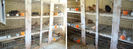 pigeon website pics breeding lofts 6-10b