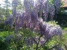 050520133160