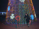 DSC03797