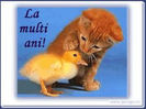 LA MULTI ANI