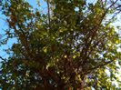 DSCN0214