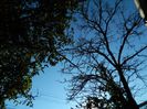 DSCN0215