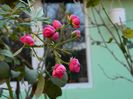 DSCN0231