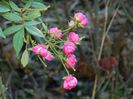 DSCN0235