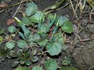 DSCN0257