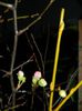 DSCN0325