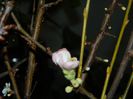 DSCN0326