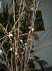 DSCN0329
