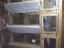 CAM00544