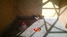 WP_20131229_002