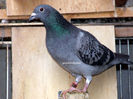 DSCF8672