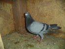 DSC01680