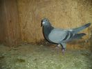 DSC01705