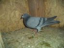 DSC01708