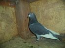 DSC01740
