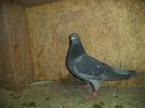 DSC01752