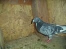 DSC01770