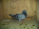 DSC01780