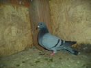DSC01789