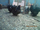 94521347_OQSBUDY3