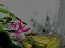 DSCN0389