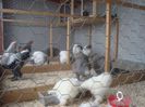 DSC03721