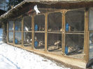 k-IMG_3185