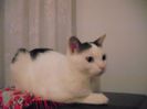 DSCF1758