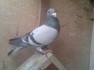 IMG_20131230_111836_871