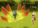 Shichibi si Fuu(7 cozi)
