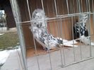 SAM_2098