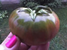 tomata neagra Black Thula
