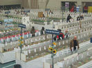 expo hollandia 2012