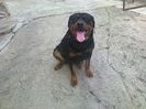 HERRA