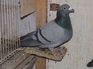DSCF8638